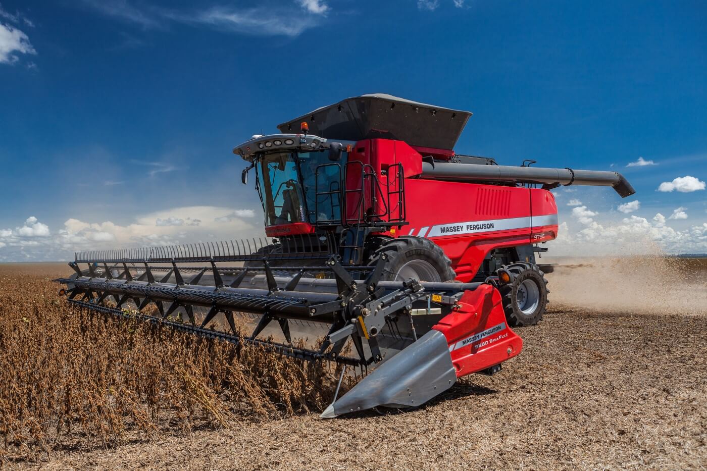 ¡Granos de calidad superior garantizados!